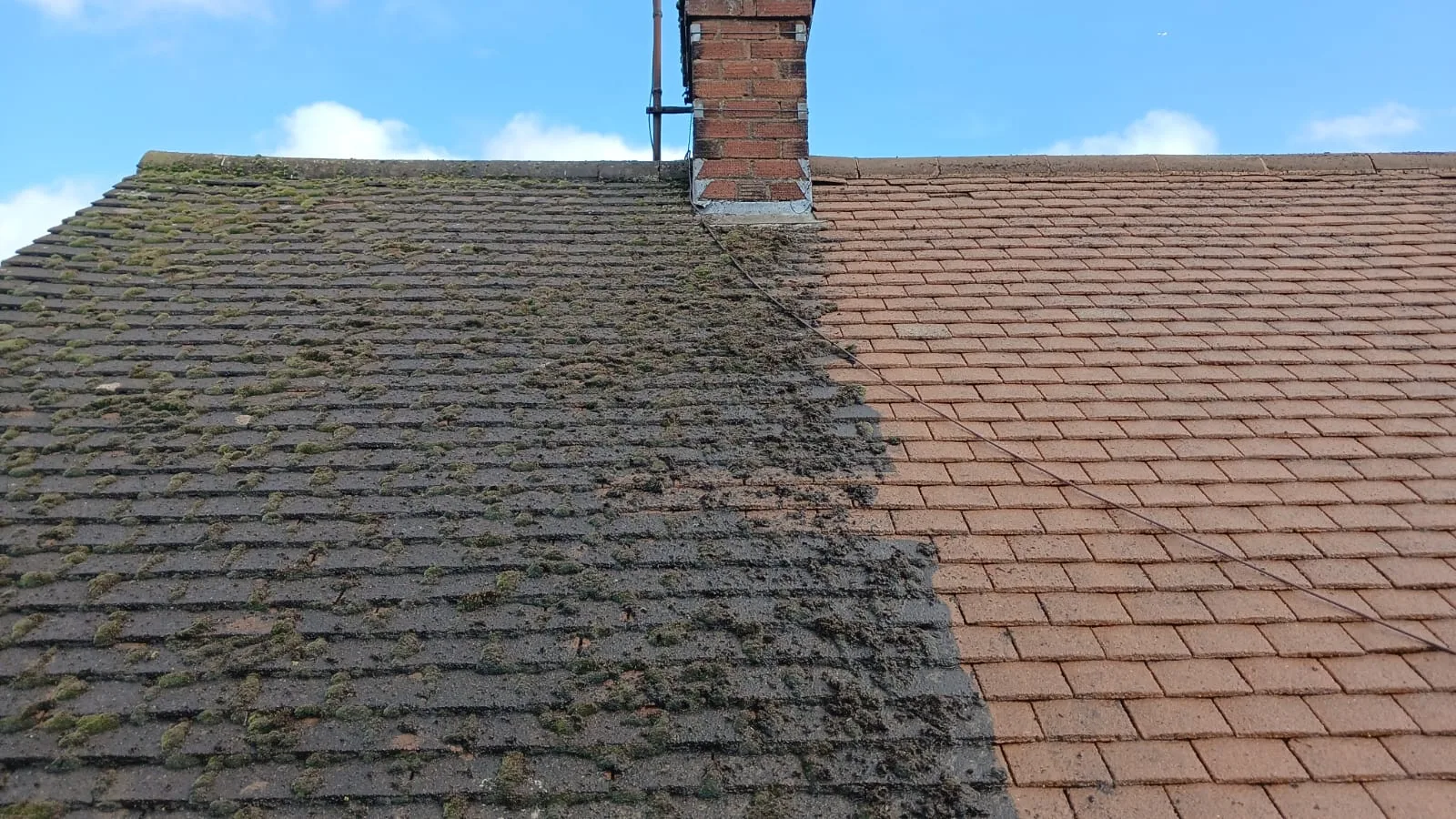 Roof Cleaning & Coatings — example of our work 4