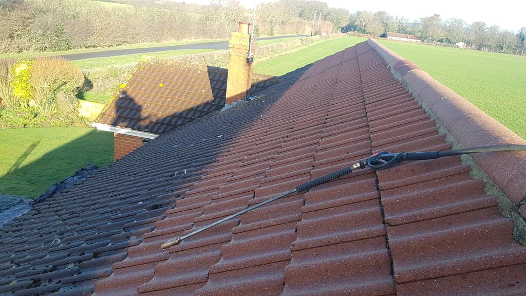 Moss removal from roof tiles